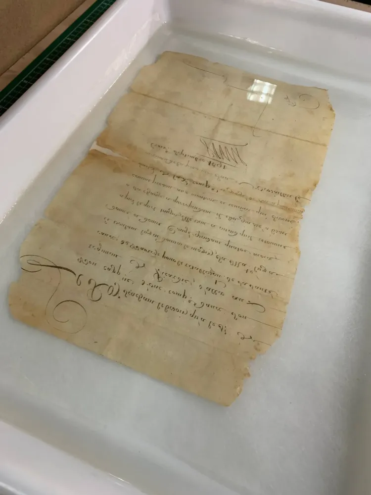 restauration parechemin